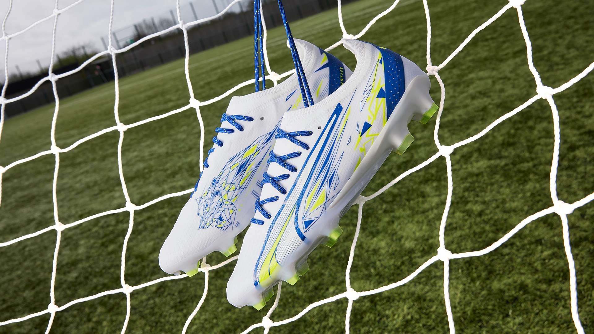 也为智利足 也为智利足