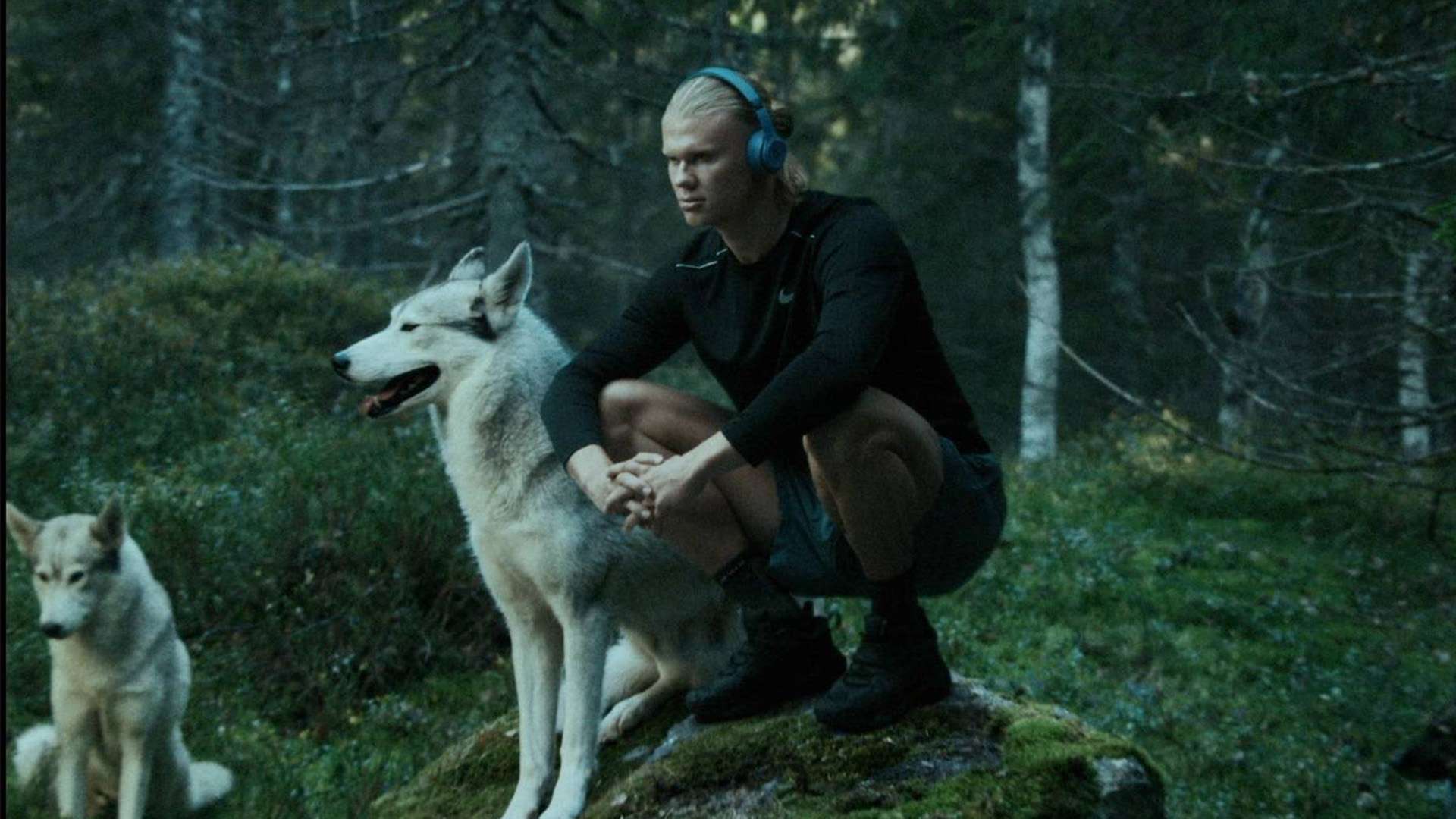 球形象的提 球形象的提