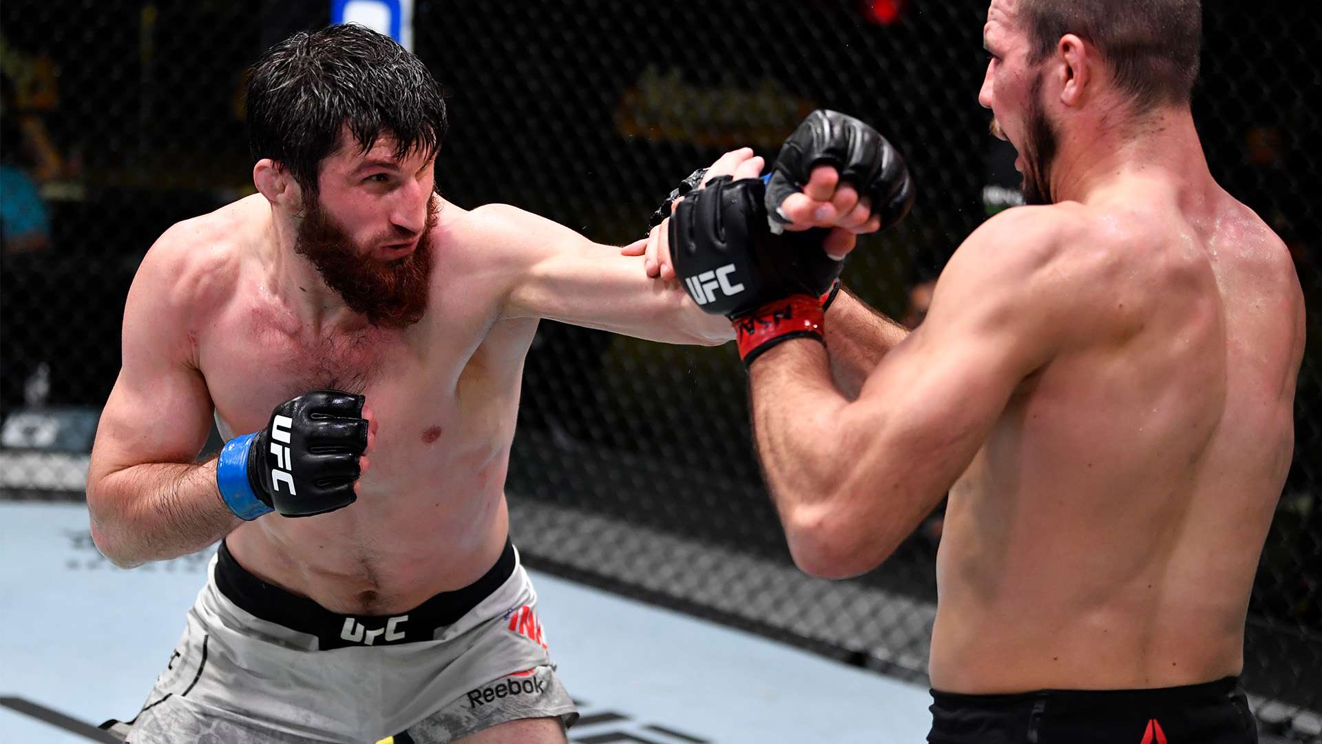 重大机遇 重大机遇